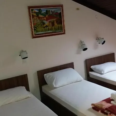 Restoran Sa Prenocistem Πανσιόν Zitiste